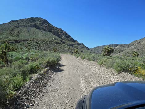 Curtis Canyon Road