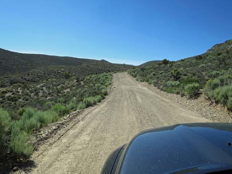 Curtis Canyon Road