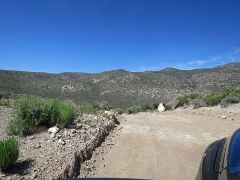 Curtis Canyon Road