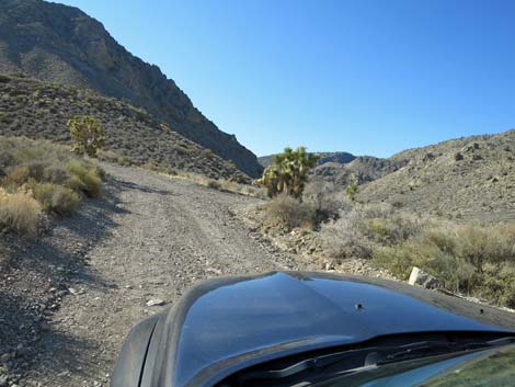 Curtis Canyon Road