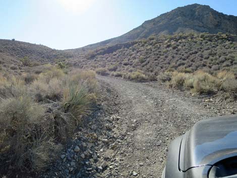 Curtis Canyon Road