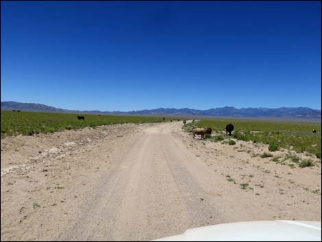 Garden Valley Road