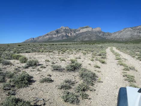 Leviathan Cave Road