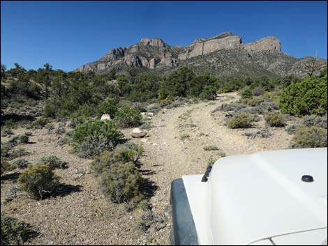 Leviathan Cave Road