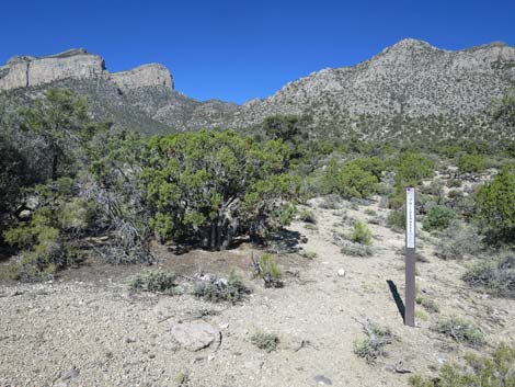 Leviathan Cave Road