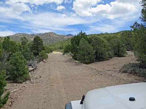 Logan Canyon Road