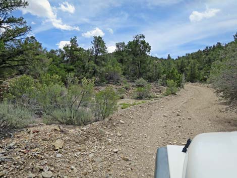 Logan Canyon Road