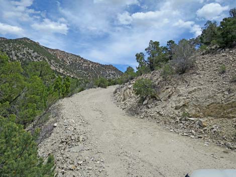 Logan Canyon Road