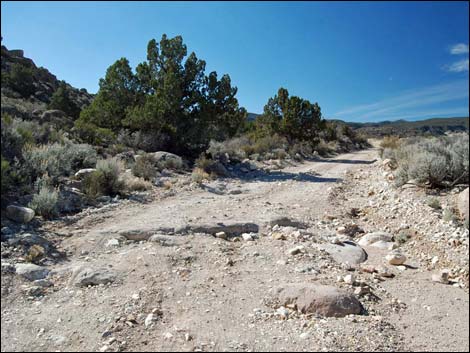 Logan Canyon Road