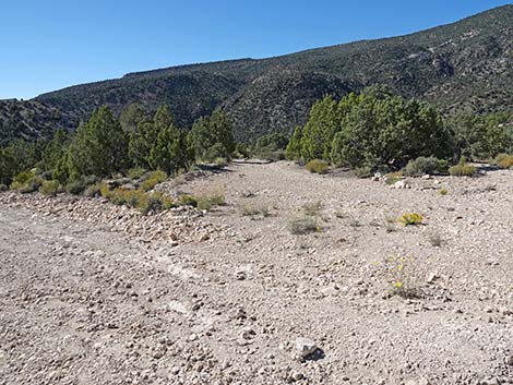 Logan Canyon Road