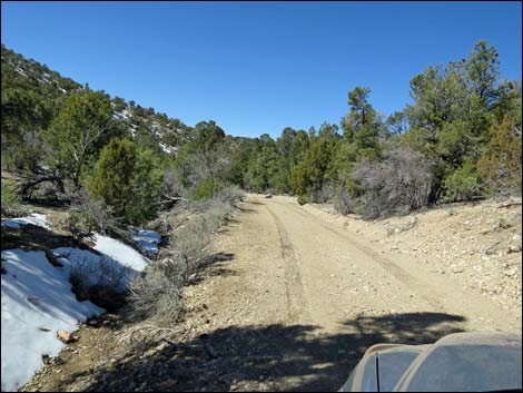 Logan Canyon Road