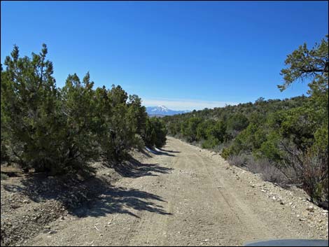 Logan Canyon Road