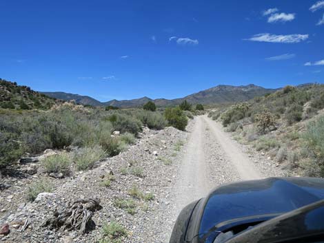 Logan Canyon Road