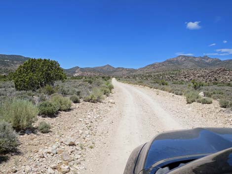 Logan Canyon Road