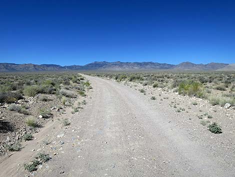 Logan Canyon Road