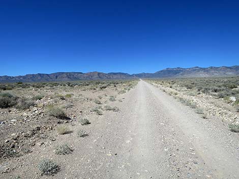 Logan Canyon Road