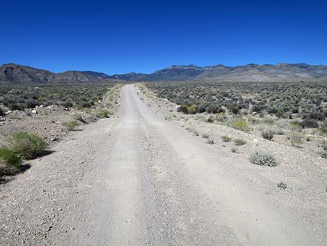 Logan Canyon Road