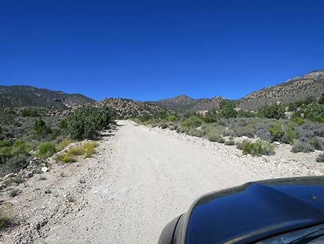 Logan Canyon Road