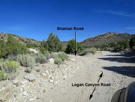 Shaman Road