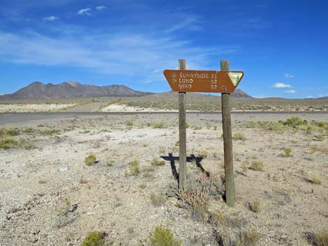 Timber Pass Road