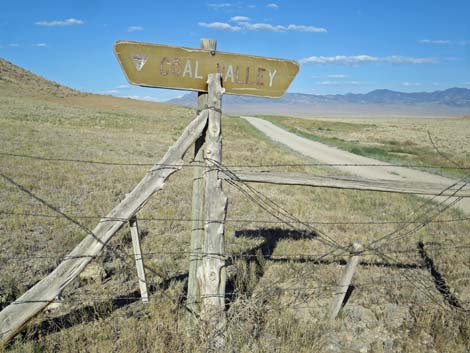 Timber Pass Road