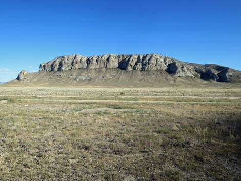 Timber Pass Road