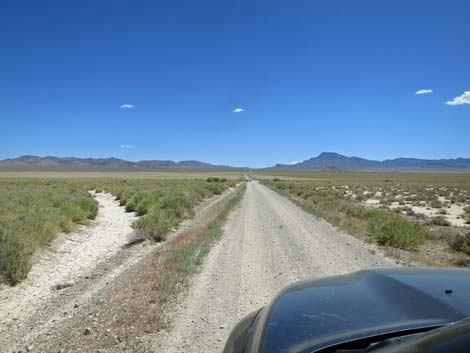 Timber Pass Road