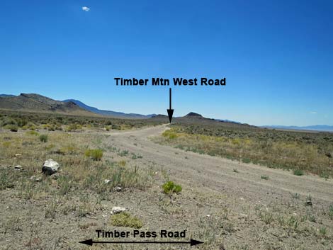 Timber Pass Road