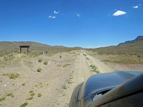 Timber Pass Road