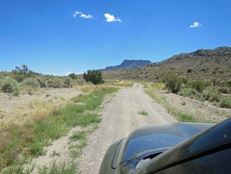 Timber Pass Road