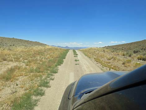 Timber Pass Road