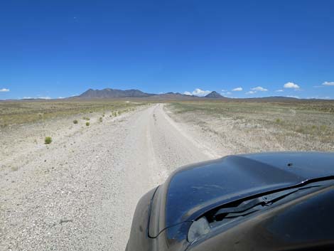 Timber Pass Road