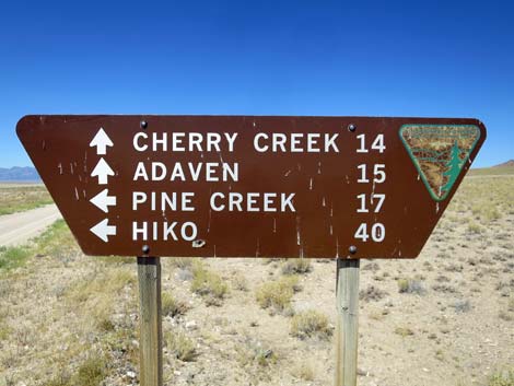 Timber Pass Road