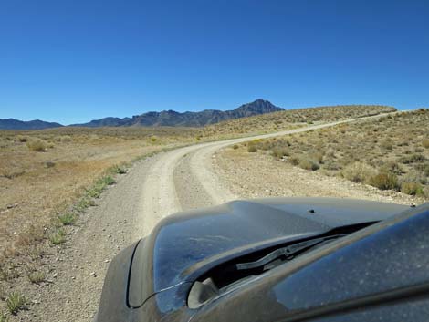 Timber Pass Road