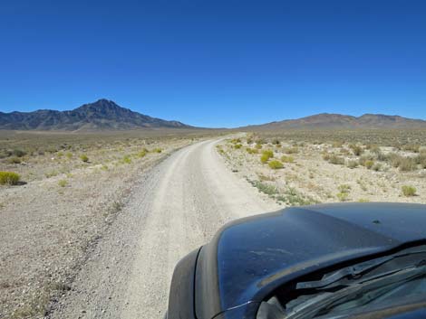 Timber Pass Road