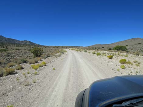 Timber Pass Road