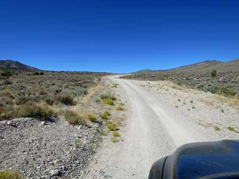 Timber Pass Road