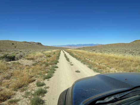 Timber Pass Road