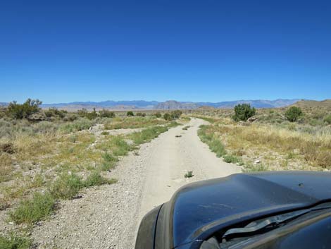 Timber Pass Road