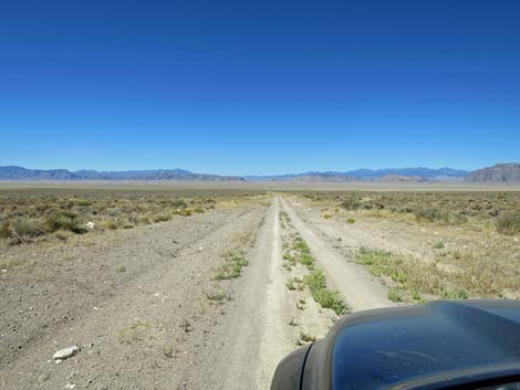 Timber Pass Road