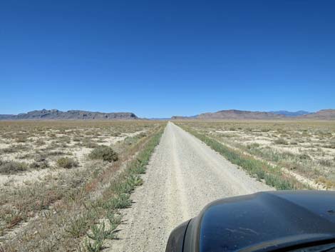 Timber Pass Road