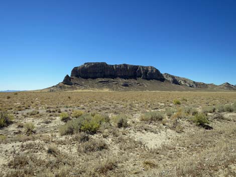 Timber Pass Road