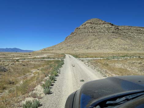 Timber Pass Road