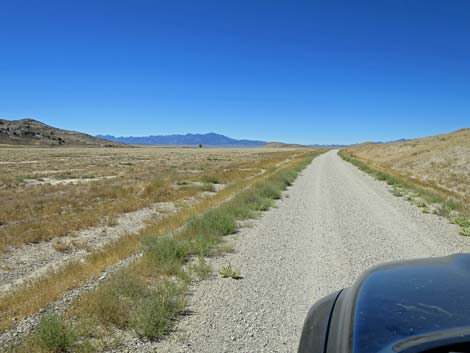 Timber Pass Road