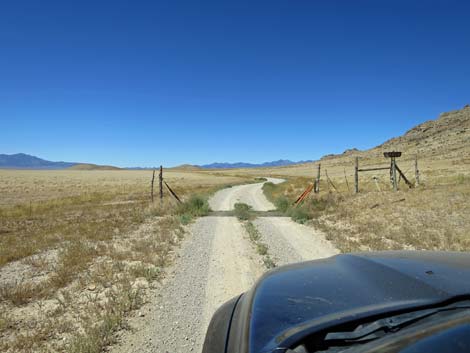 Timber Pass Road