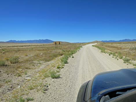 Timber Pass Road