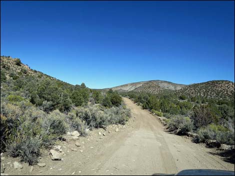 Wild Horse Valley Road