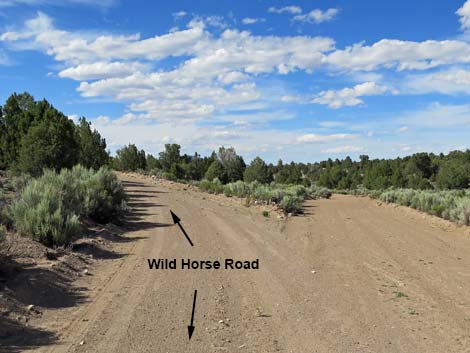 Wild Horse Valley Road