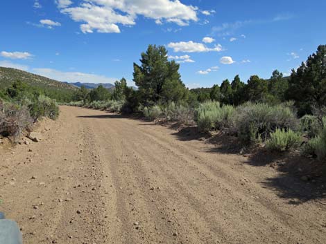 Wild Horse Valley Road