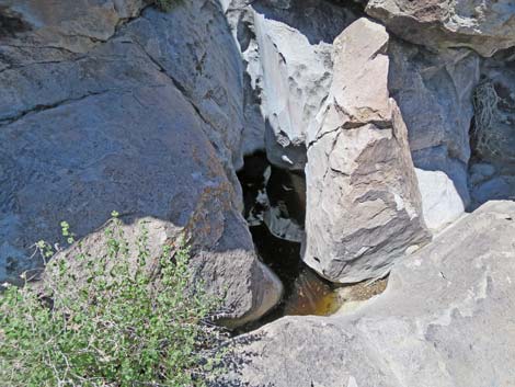 Shooting Gallery Rock Art Site